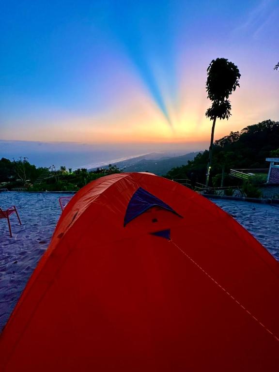 Surrounding environment