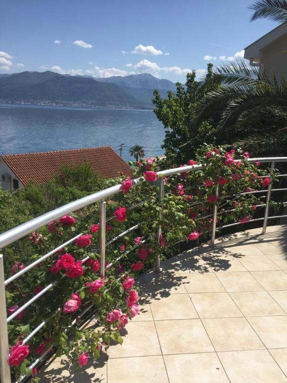Natalie Apartments — Hotel in Tivat