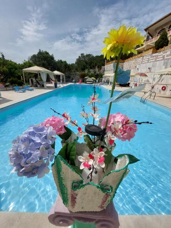 スイミングプール