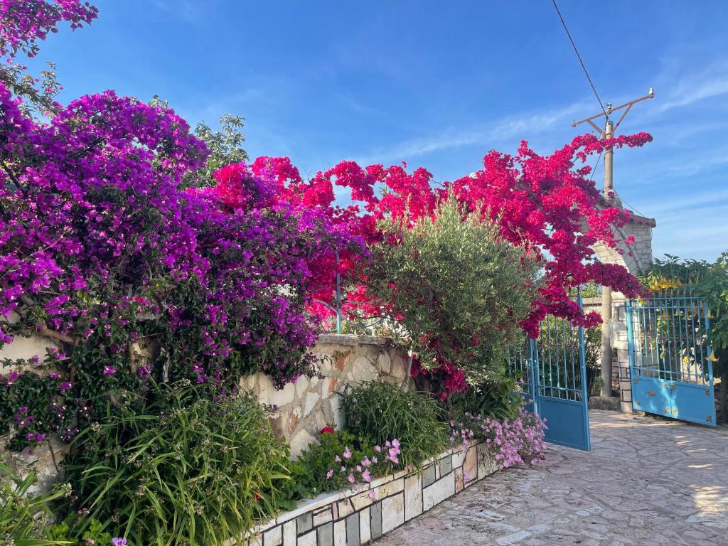 Villa HENA photo