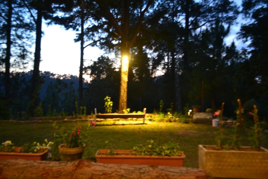 Batrasi Bungalow Homestay photo