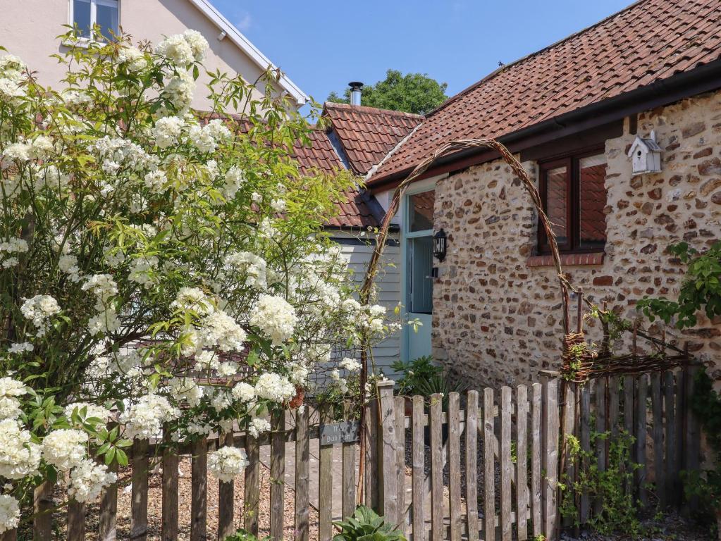 The Bull Pen, Colyton