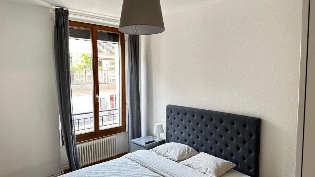 Quartier de Plainpalais, Homestays Geneva