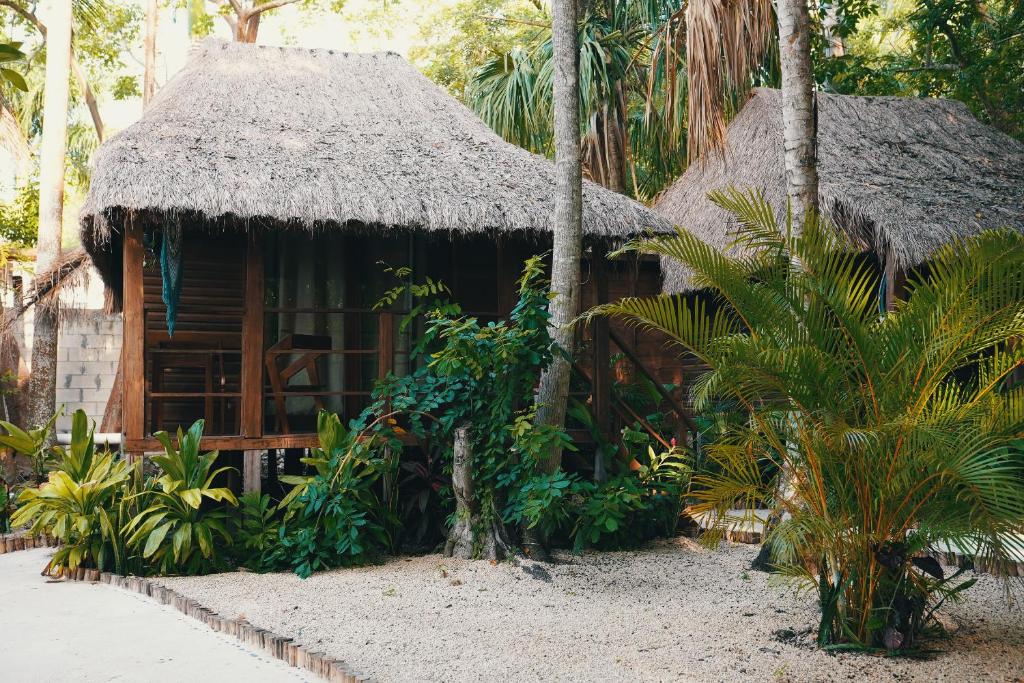 Bluebayou Bacalar - 3