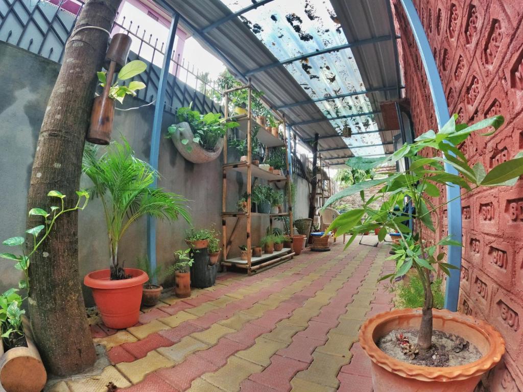 Stargaze Backpackers Hostel photo