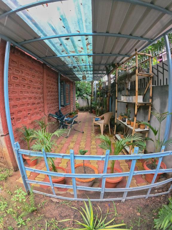 Stargaze Backpackers Hostel photo