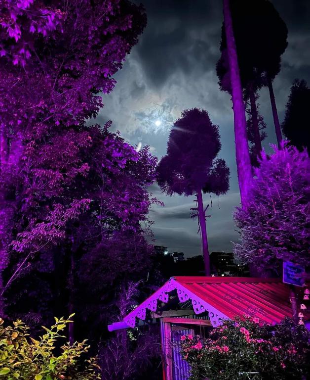 Shanti Samaya Home Stay VL Ghoom Monastery, Samten Choeling photo