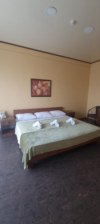 Hotel Salem photo