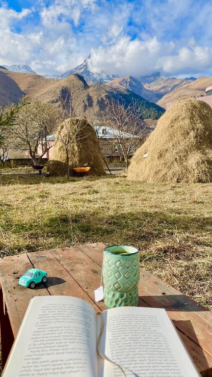 Piligrim Kazbegi photo