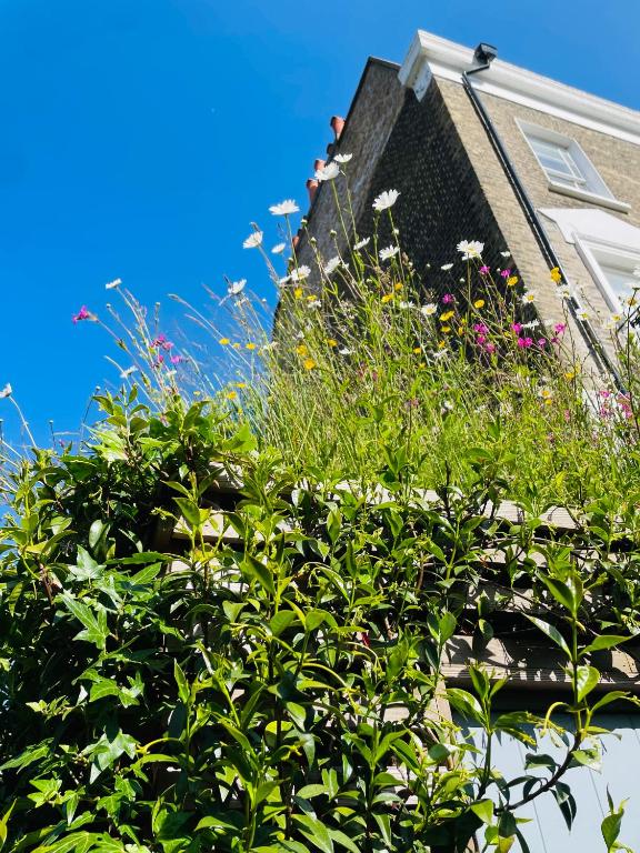 Camden Town Garden Cabin photo