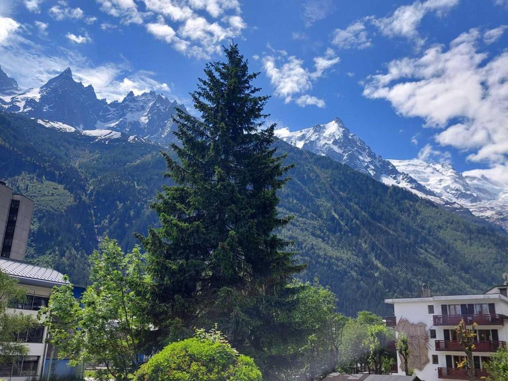 2 Pièces à Chamonix, Vue Mont-Blanc, Animaux admis, Parking - FR-1-517-26 - 3