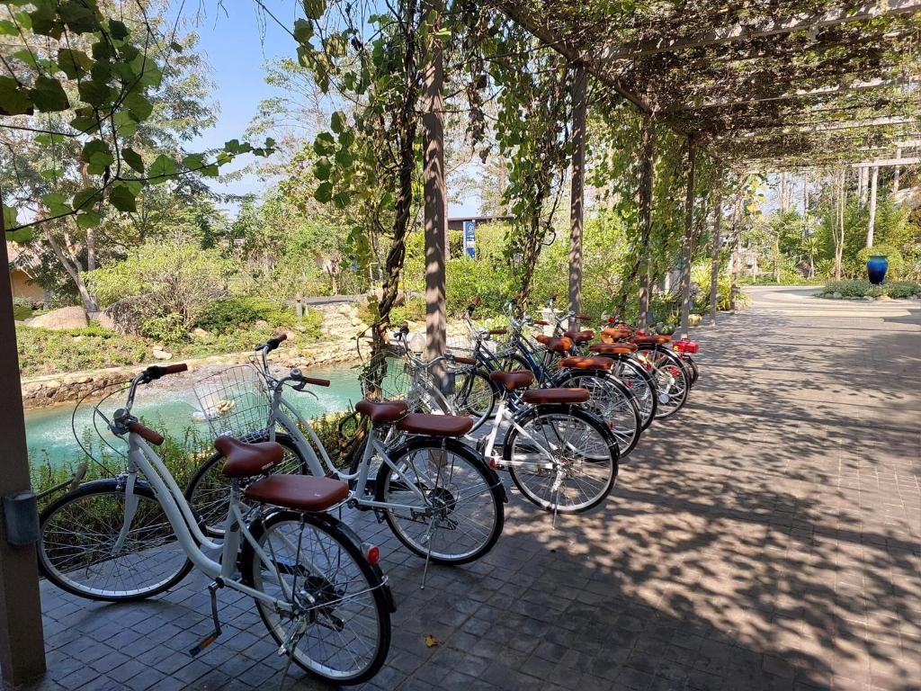 กิจกรรม