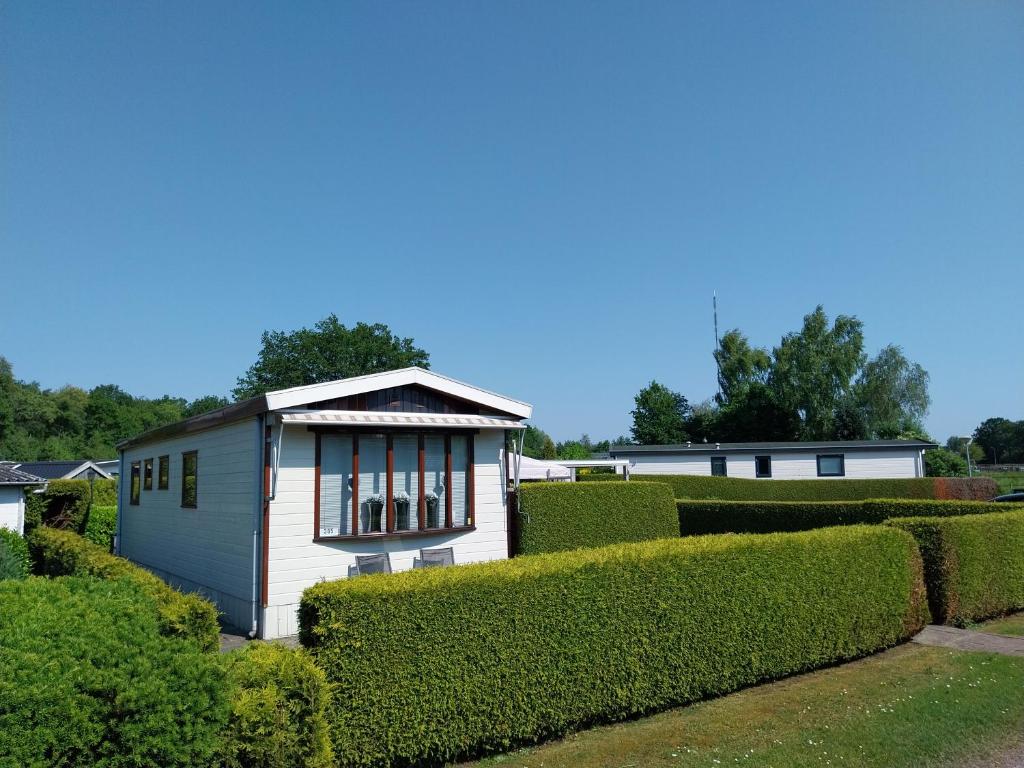 Chalet in Drenthe te huur aan de rand van het bos Drents Friese Wold, veel PRIVACY en RUST, Hoogersmilde