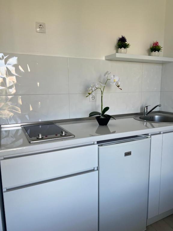 Rasi Luxury Apartments - 4