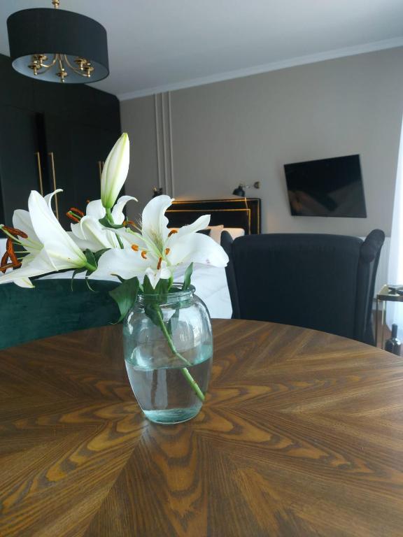 Doris Day Apartment, Krakov