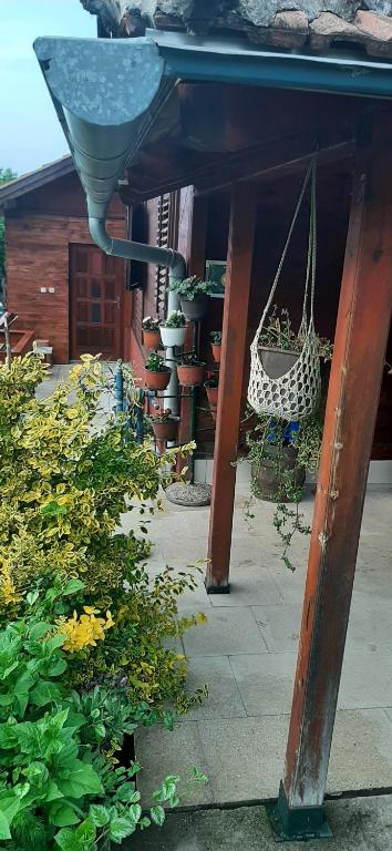 Apartmani Beslic photo