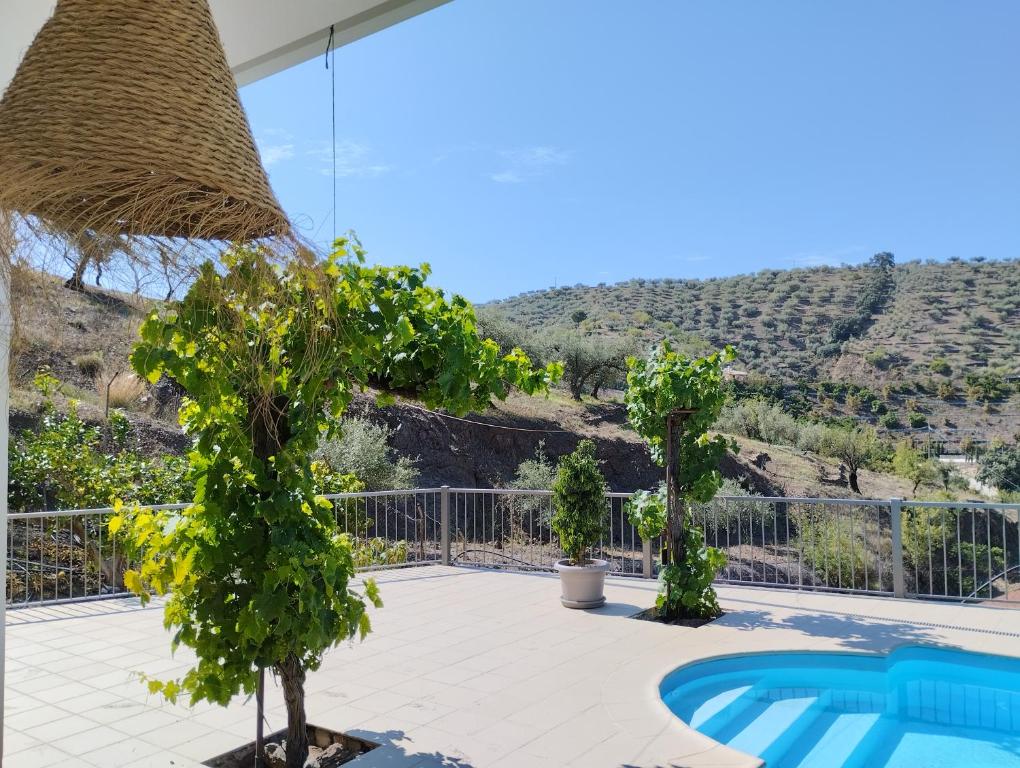 VILLA LAS VIÑAS - 2