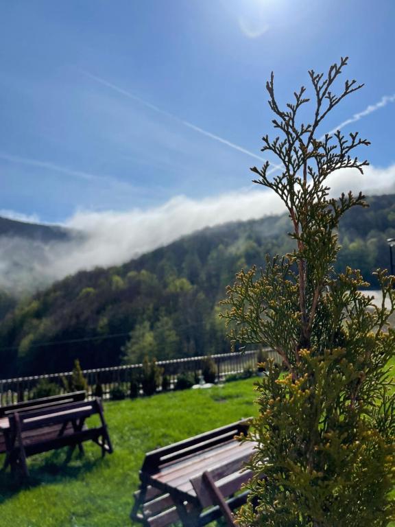 Honey Valley Bjelasnica photo