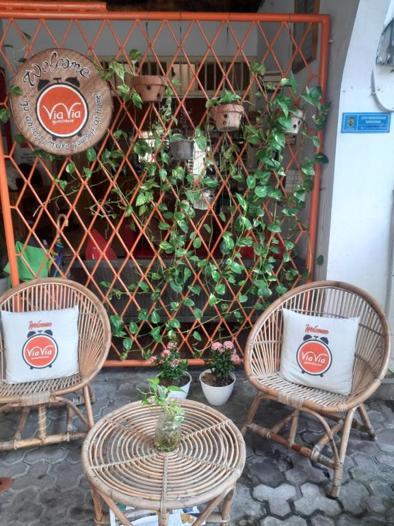 ViaVia Guesthouse photo