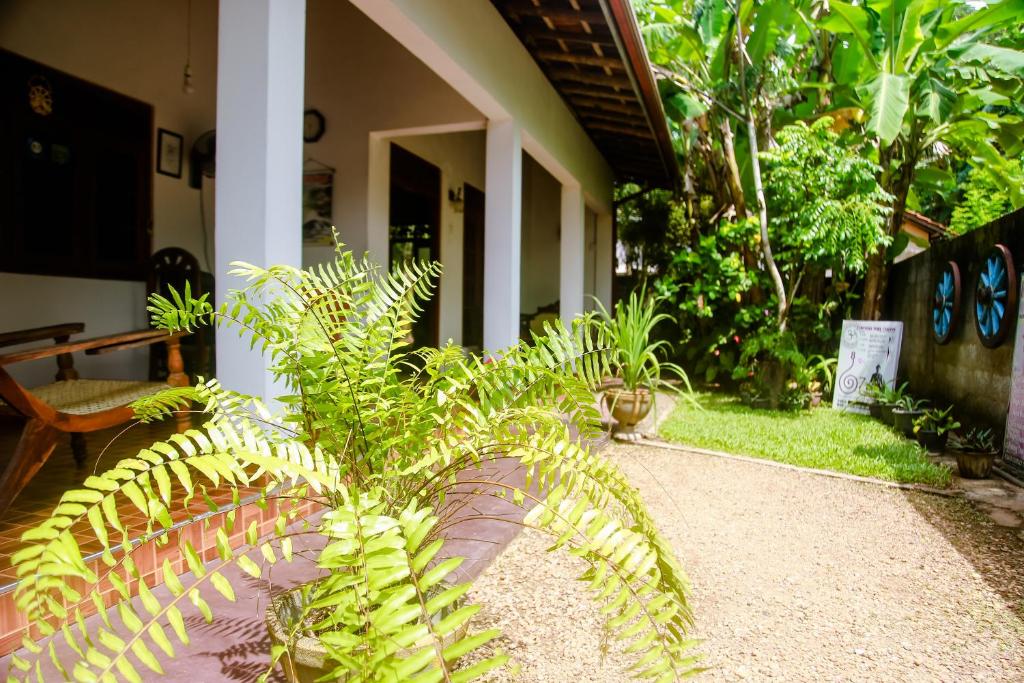 View, Ranjith Guest in Mirissa