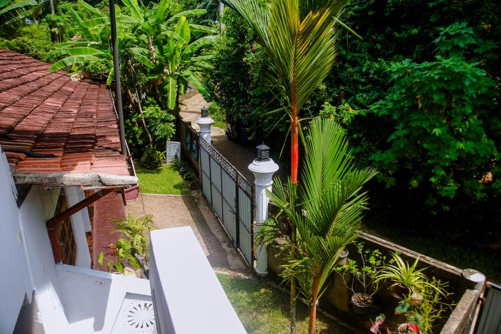 View, Ranjith Guest in Mirissa