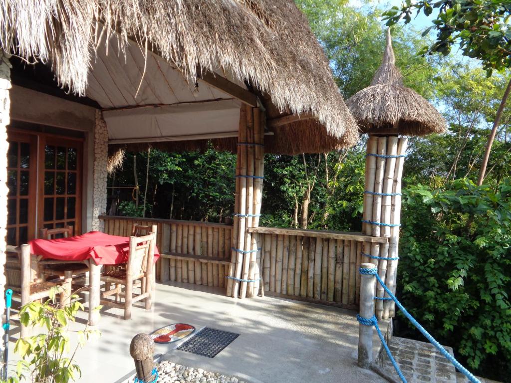 Garden, Sea Turtle House in Cebu