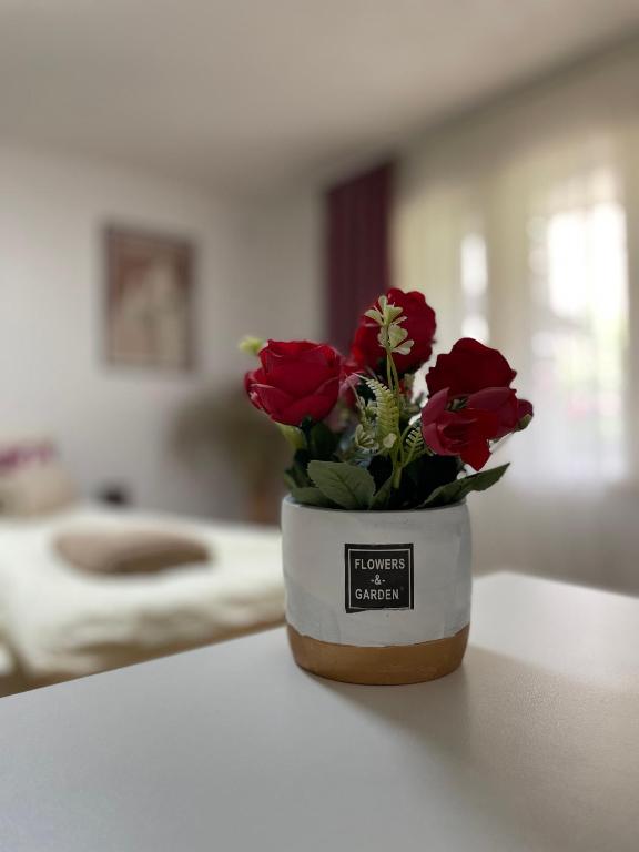 Apartmani Stanković Sokobanja - 2