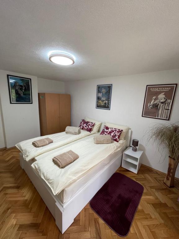 Apartmani Stanković Sokobanja - 4