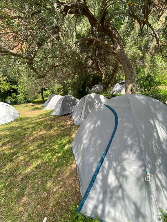 Gjipe Eco Campground photo