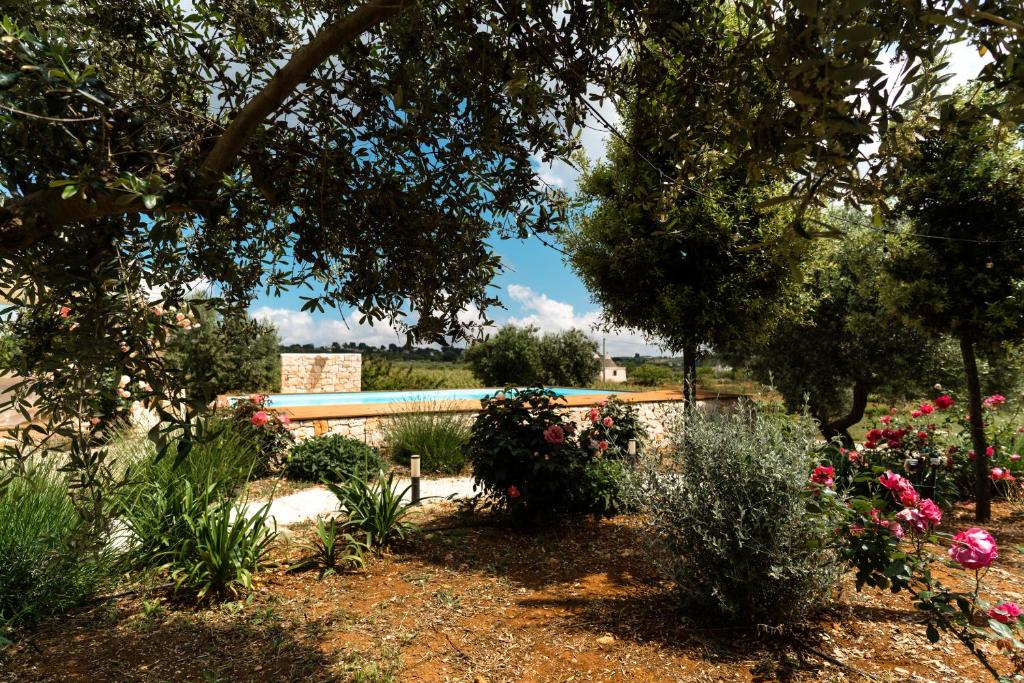 Trulli Audendum - 5