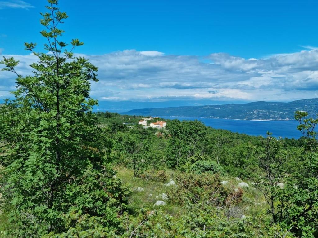 Casa Battiscuro - for Adventurers only, Plomin