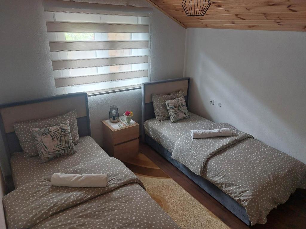 Apartman Branko - 3