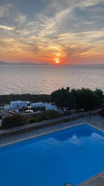 Ines’s Dream, Stelida