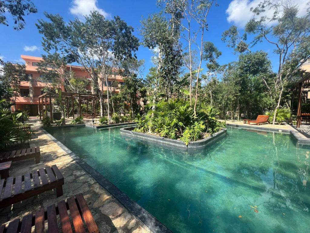 Estudio completo en la selva, Tulum