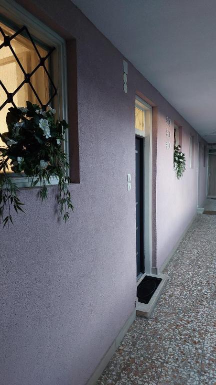 Apartman Maximino photo