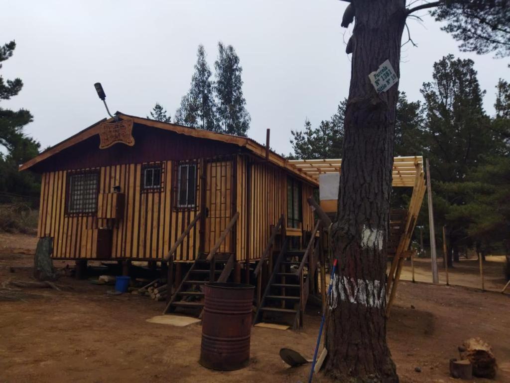 Cabaña laguna los patos - 1