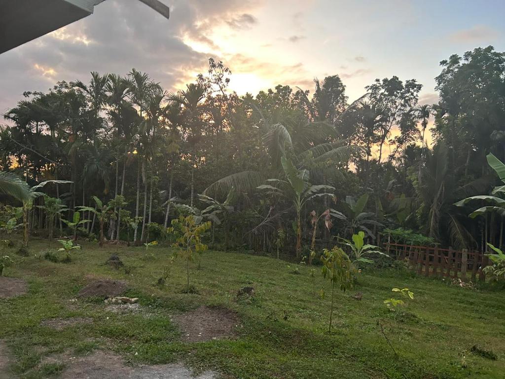 Senaru Garden Homestay