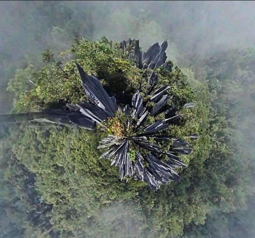 Surrounding environment