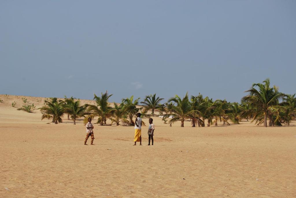 A&Y Wild Camp Ghana photo