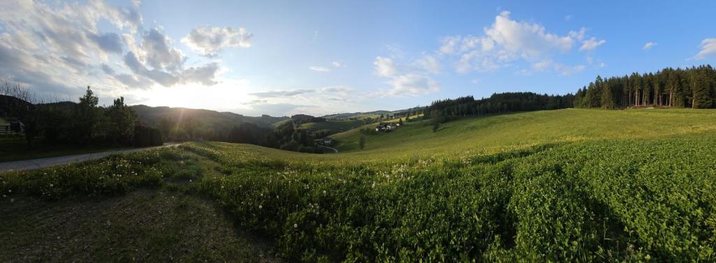 Zukaunighof - 4