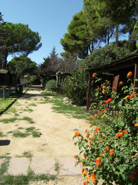 Bungalows Club Aire Libre - 2