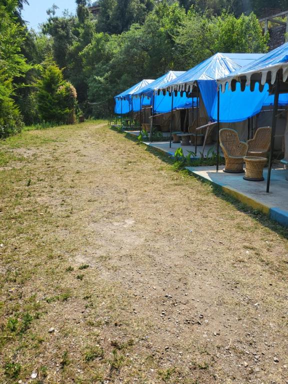 Jungle Live Inn Camps & Resorts photo