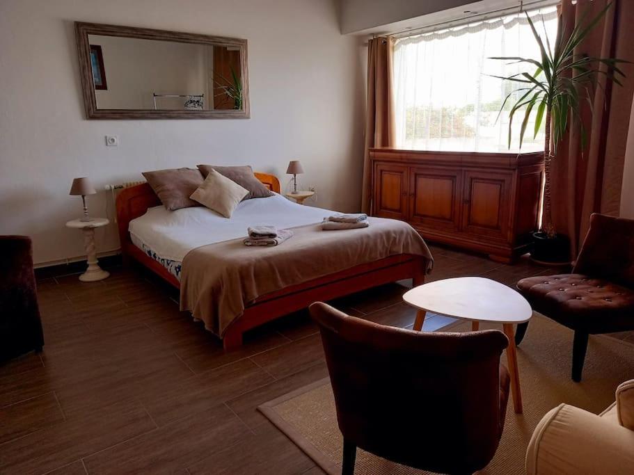 Beau logement proche plage et centre-ville - 1