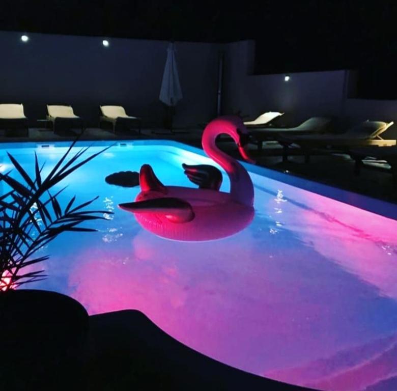 Apartments Villa Stivan photo