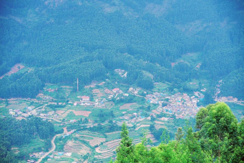 Misty Mountains Holiday Homes — Hotel in Vattavada