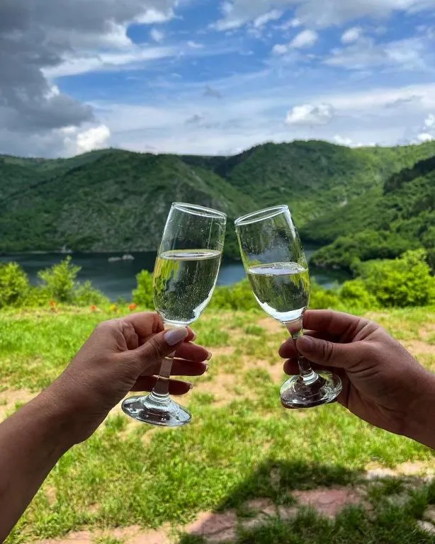 Brvnare Puljci, hotel v destinaci Nova Varoš