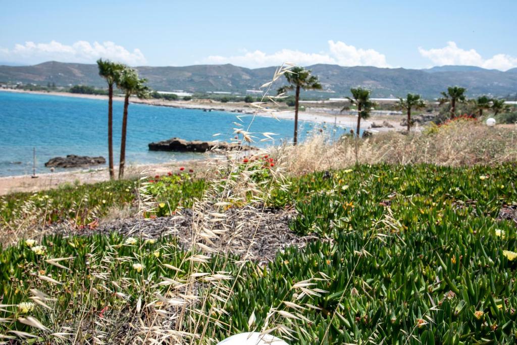 Balos Beach Hotel photo