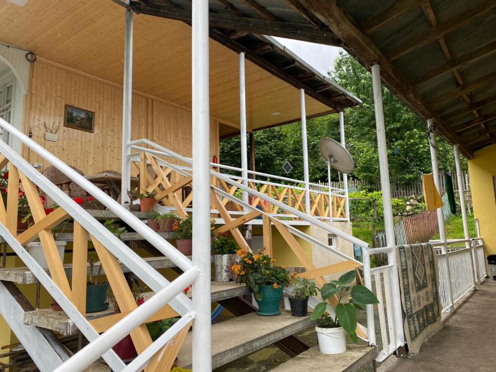 Guest House Balda photo
