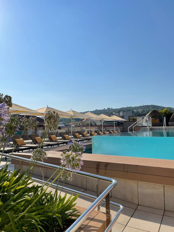 スイミングプール