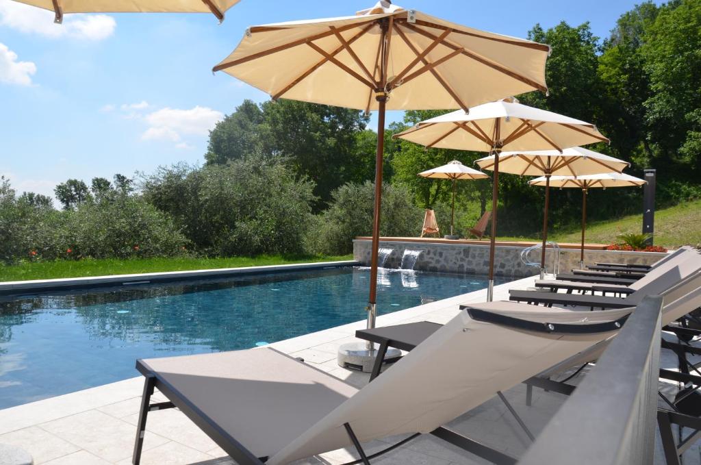 Colonia Resort photo